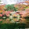Du lịch Nhật Bản 7 ngày 6 đêm: Khám phá KOBE-OSAKA-KYOTO 3 tour-nhat-ban-7-ngay-6-dem